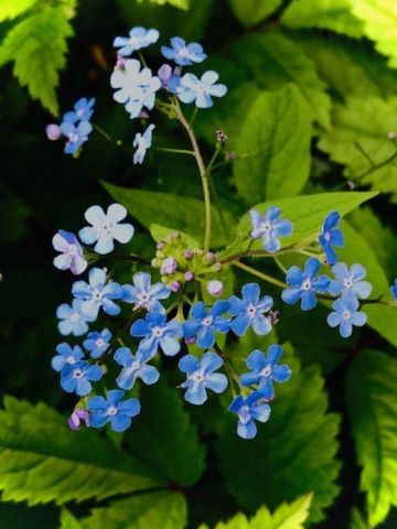 eBook marketing image example